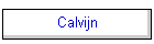 Calvijn