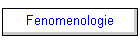 Fenomenologie